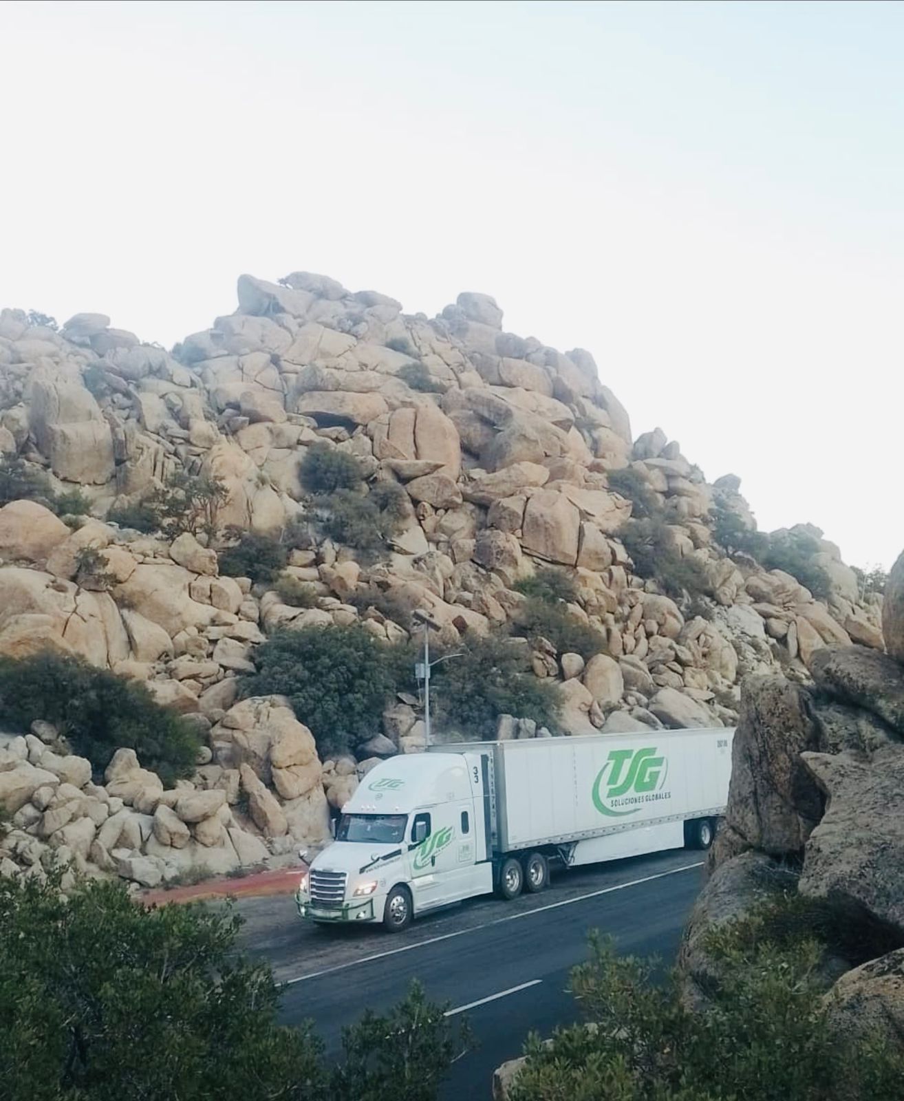 Flota TSG Transportes - tsg-image2026-03-06 at 10.10.28 (1)